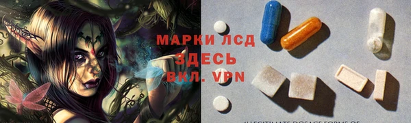 индика Беломорск