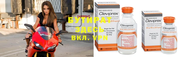 индика Беломорск
