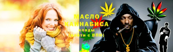 индика Беломорск