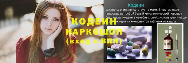 индика Беломорск