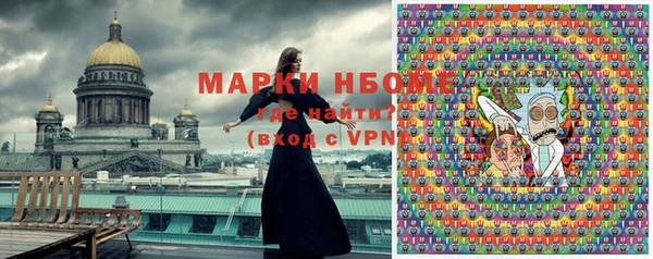 индика Беломорск