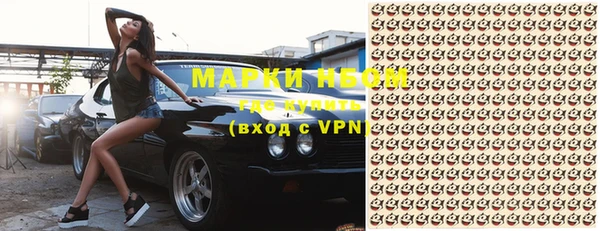 индика Беломорск