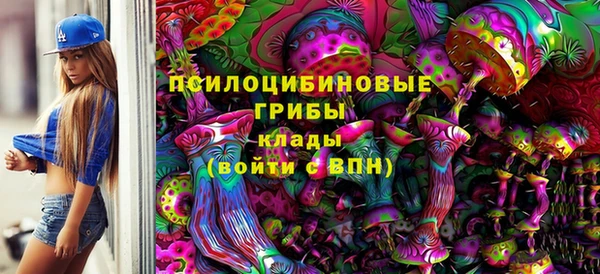 индика Беломорск