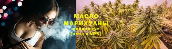 индика Беломорск