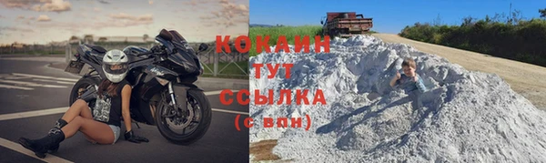 индика Беломорск